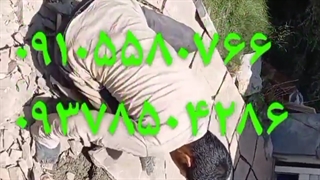 پیمانکاری اجرای #سنگ $لاشه  #کف سازی# 09105580766