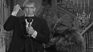 سریال خانواده آدامز ۱۹۶۴ Addams Family ، تهیه ،  زیرنویس چسبیده فارسی و پخش اختصاصی از جمال کیانی فر ،  قسمت ۳