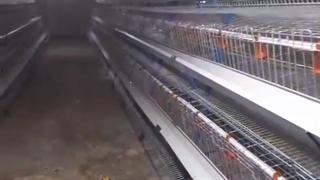 فروش تجهیزات مرغداری ارزان