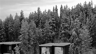 ویدیو تاثیر گذار