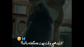 رفیقم میدونم الان نیستی اینو ببینی ولی از همین جا خاستم بگم خیلی عاشقتم #M