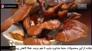 پشت صحنه محصولات دکتر بیز و ستین در شبکه خبر سراسری