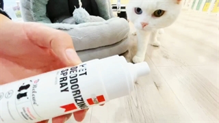 Pet Deodorizing Spray