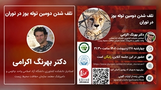 چه بر سر توله یوزهای ایران آمد؟