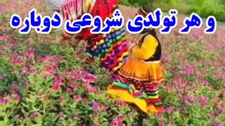 چای چینی استان گیلان