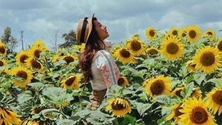 هوشیار باش . روژین روناسی