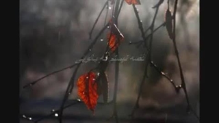 اشک رازیست - احمد شاملو