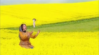 دل آرا شرکا delara shoraka _ فیلم انیمیشن داستان دلارا