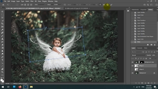 بال لایه باز / پر لایه باز