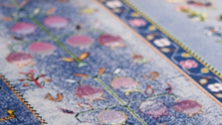 سرو ناز شیراز