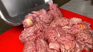 دیگه واقعا رد دادن خیلیا:)