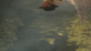 سریال آن شرلی ( anne wite an ) فصل ۳ قسمت ۹ + زیرنویس