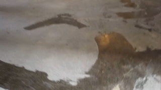 نصب کفپوش اپوکسی بر روی بتن