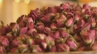 سمینار بزرگ کاربرد تکار، لیزر، شاک ویو در فیزیوتراپی