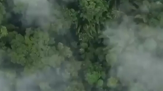 آبله میمون چیست؟