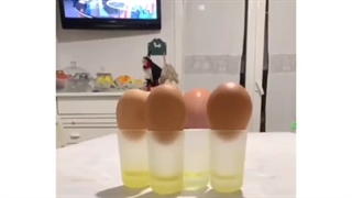 تفریح وسرگرمی 3