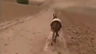 تفریح وسرگرمی 5