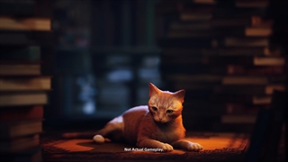 تاریخ انتشار بازی Stray