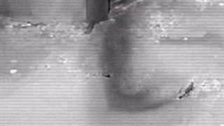 روحی شبح وار برنگ دودی که سگ دید