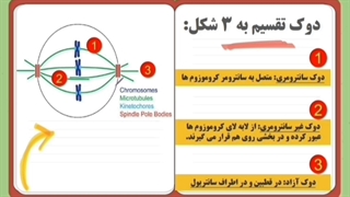 تدریس-ژنتیک-کنکور نازیلا ایمنی-معلم زیست