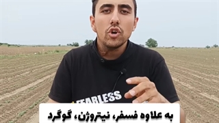 فاصله بین آبیاری اول و دوم بادام زمینی