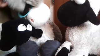 سریال ببعی بزرگه | قسمت ششم