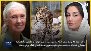 نامه سفیر سازمان ملل و هدیه تهرانی برای حفاظت از پلنگ ایرانی