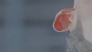 تو یه سونامی هستی!