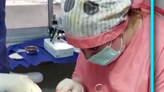 دوره آموزش کاشت ابرو