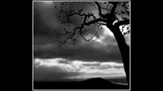 محمد اصفهانی/29
