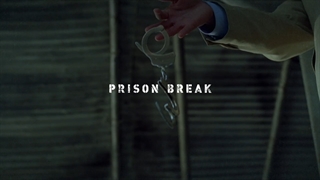 سریال فرار از زندان (prison break ) قسمت ۱۹ فصل ۲ + زیرنویس