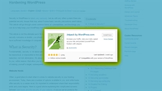 نقاط ضعف وردپرس چیست؟