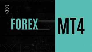 MT4 Forex Brokers - List Of Best Forex Broker