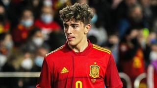 عملکرد گاوی مقابل جمهوری چک