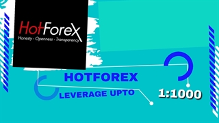Top Leverage Forex Brokers In Malaysia - Live Forex Trading