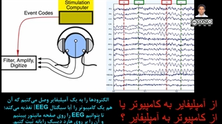 01از45 ولتاژهای الکتریکی وابسته به رخدادهای شناختی