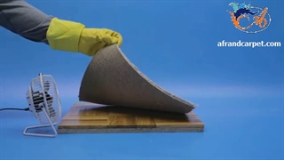 از بین بردن کپک روی فرش