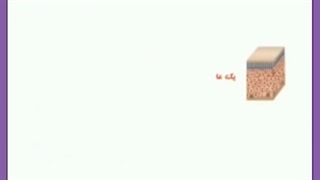 پوست چیست و چگونه از آن محافظت کنیم؟