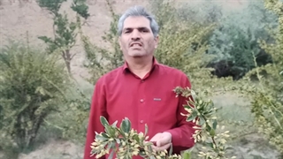 میدونستین که زرشک اشتهاآور هست؟