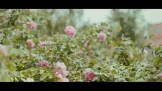 محصولات لاکچری کوین