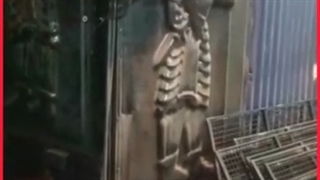 دستگاه زغال ساز لیمو و مرکبات