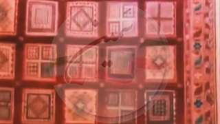 کارآفرینی کن و کارفرمای خودت باش