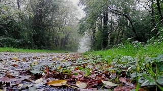 دل نوشته علی کرامتی