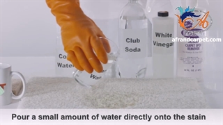 از بین بردن لکه چای در فرش