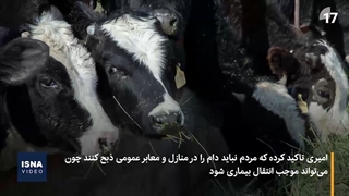 افزایش موارد تب کریمه کنگو و چند توصیه مهم