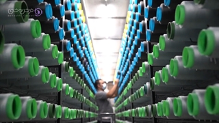 مراحل تولید فرش ماشینی