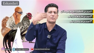 پرورش کدام پرنده بیشترین سود رو داره ؟