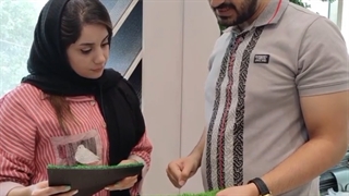 چمن مصنوعی بالکن از کجا بخریم؟