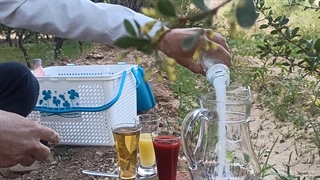 آموزش تهیه معجون ضد افسردگی زرشک (معجونی برای افزایش شادی) :)
