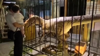 ژوراسیک پارک کیش/ مجیک پارک کیش/رامین گشت 02141509/کیش/تورکیش